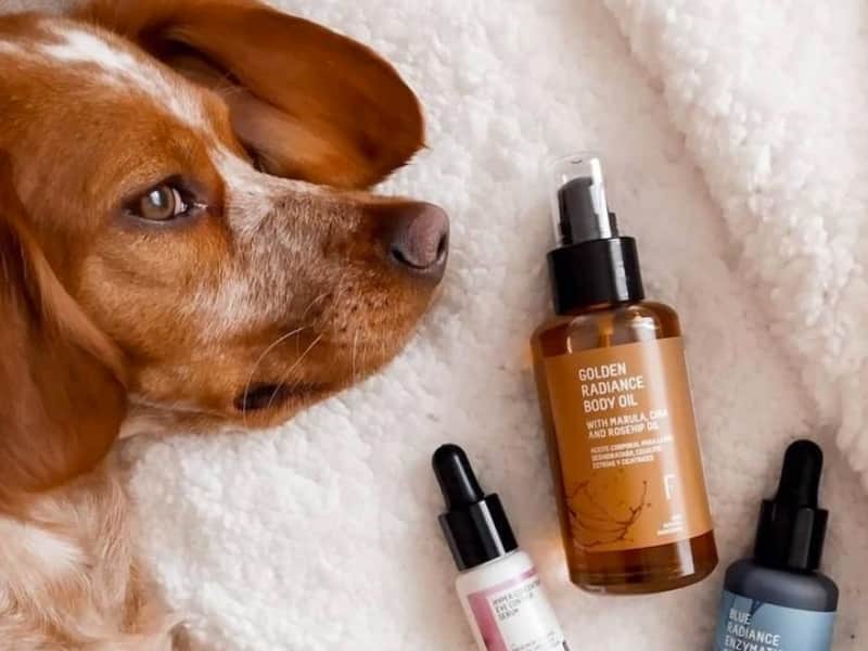 Cremas hidratantes faciales veganas y Cruelty Free